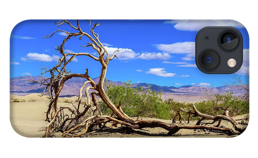 Usa iPhone 13 Case featuring the photograph Dead tree in death valley by Alberto Zanoni
