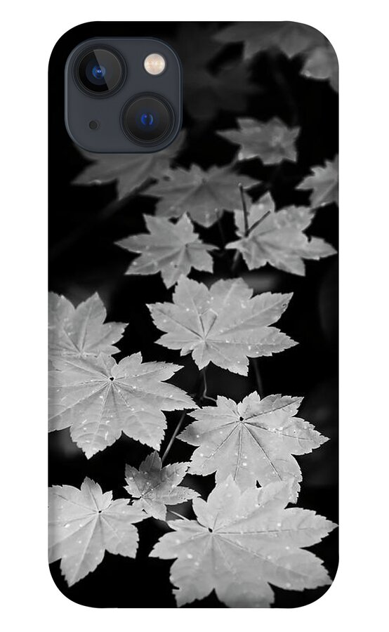 Canon iPhone 13 Case featuring the photograph Deep Forest Maple by Jon Ares