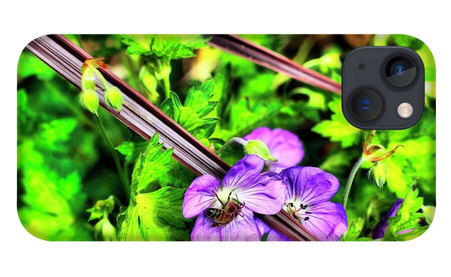 Flowers iPhone 13 Case featuring the photograph Delicate Chopsticks by Cate Franklyn