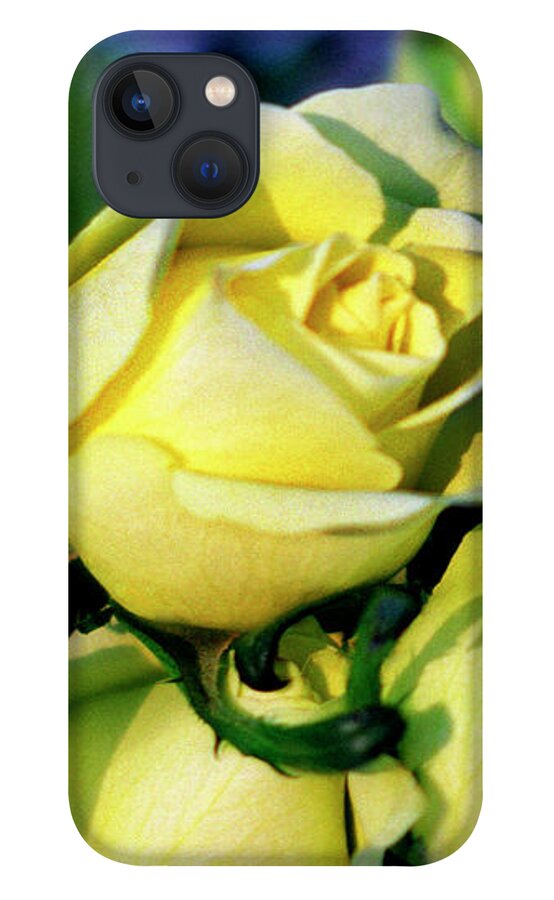Jigsaw iPhone 13 Case featuring the photograph Destiny by Carole Gordon