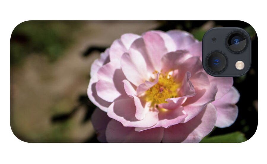 Close-up iPhone 13 Case featuring the photograph Distant Drums Rose - 2 by K Bradley Washburn