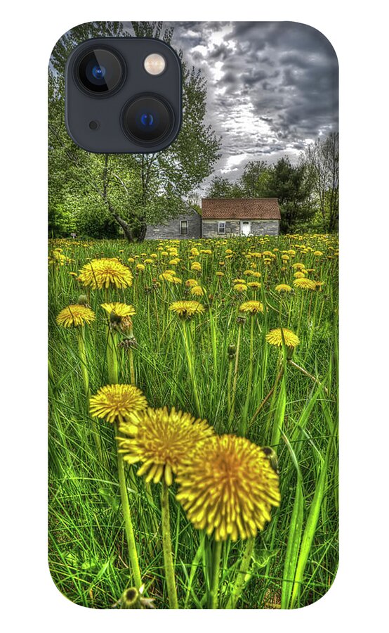 Dandelions iPhone 13 Case featuring the photograph Dlion Delit by Jeff Cooper