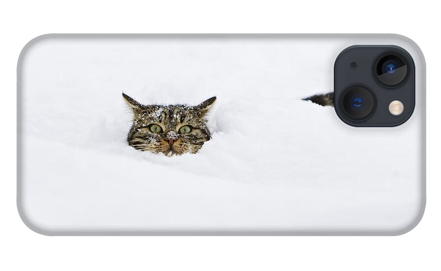 Mp iPhone 13 Case featuring the photograph Domestic Cat Felis Catus In Deep Snow by Konrad Wothe