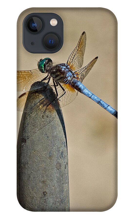 Insect iPhone 13 Case featuring the photograph Dragonfly by Farol Tomson