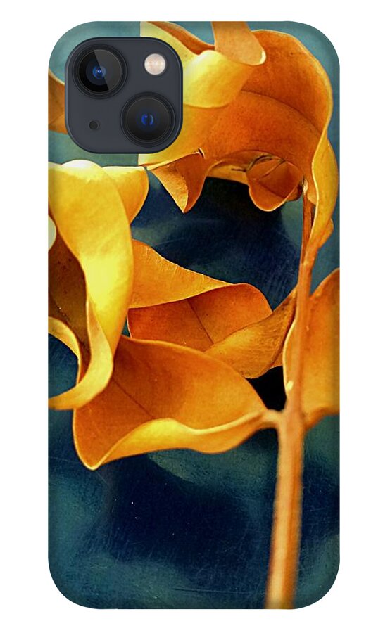 Dry iPhone 13 Case featuring the photograph Dry leafy by Faashie Sha