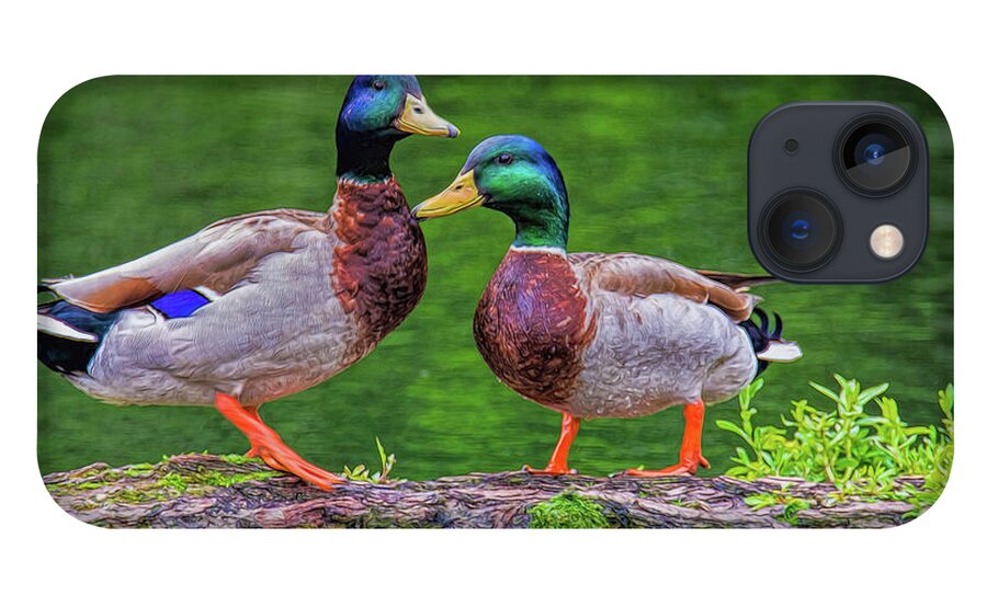 Mallards iPhone 13 Case featuring the photograph Duck Buddies by Cathy Kovarik