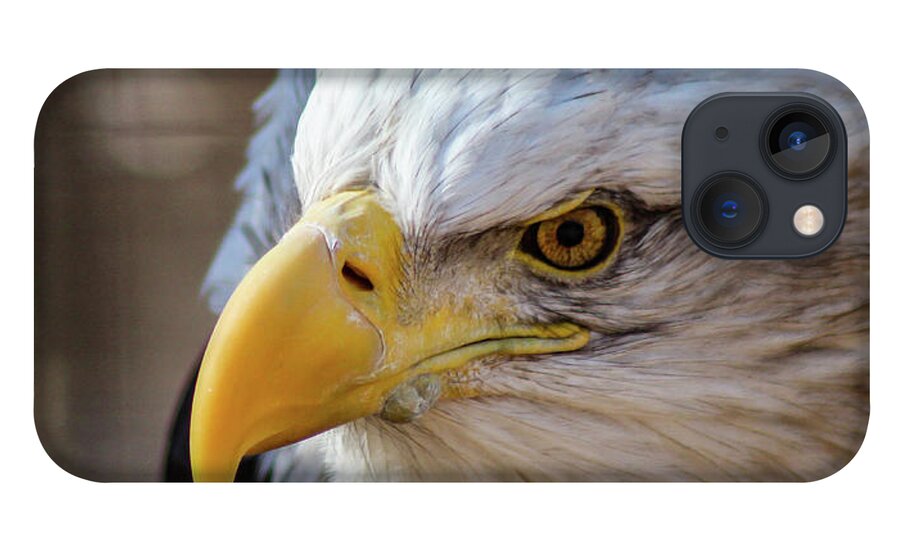 Bald Eagle iPhone 13 Case featuring the photograph Eagle Eye by Holly Ross