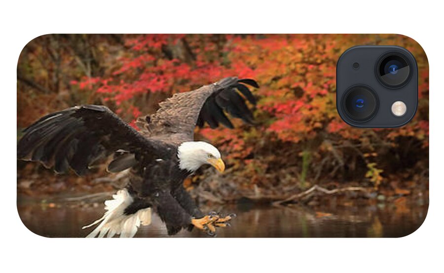 Eagle iPhone 13 Case featuring the photograph Eagle Fishing Panorama by Duane Cross