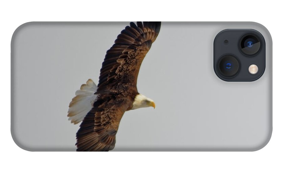 Bald Eagle iPhone 13 Case featuring the photograph Eagle in flight by Peter Ponzio