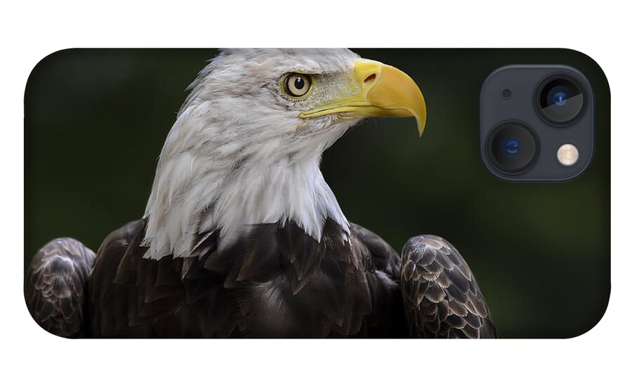 Eagle iPhone 13 Case featuring the photograph Eagle Profile 2 by Andrea Silies