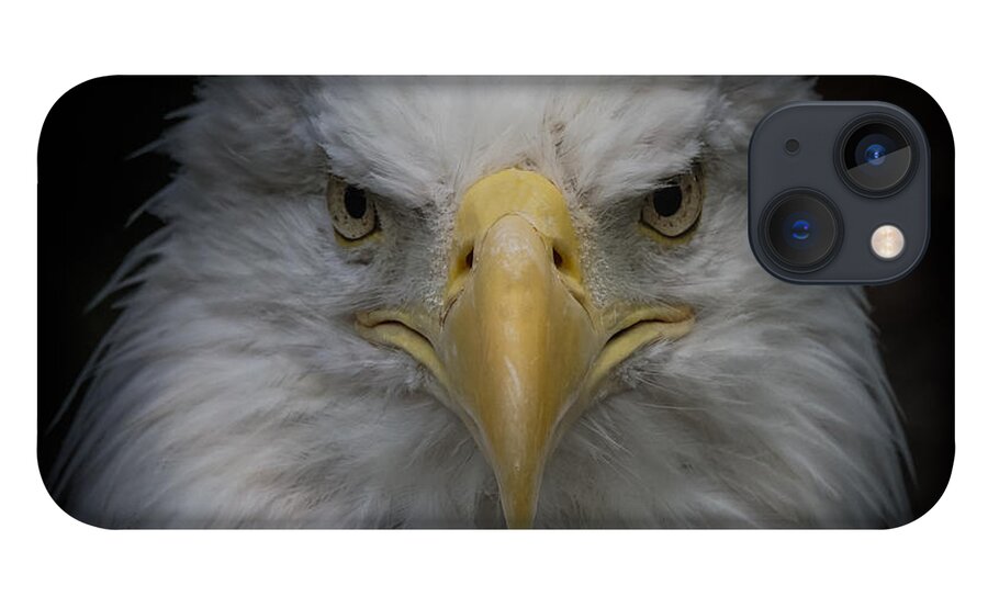 Bald Eagle iPhone 13 Case featuring the photograph Eagle Stare by Ernest Echols