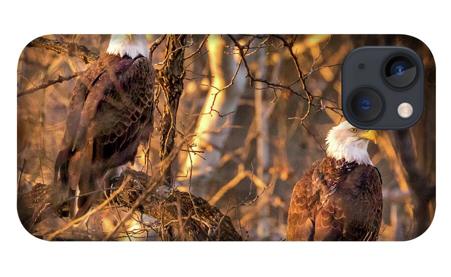 Eagle iPhone 13 Case featuring the photograph Eagles by Allin Sorenson