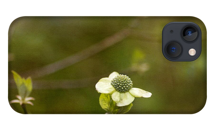 Dogwood iPhone 13 Case featuring the photograph Early Dogwood by Rebecca Cozart