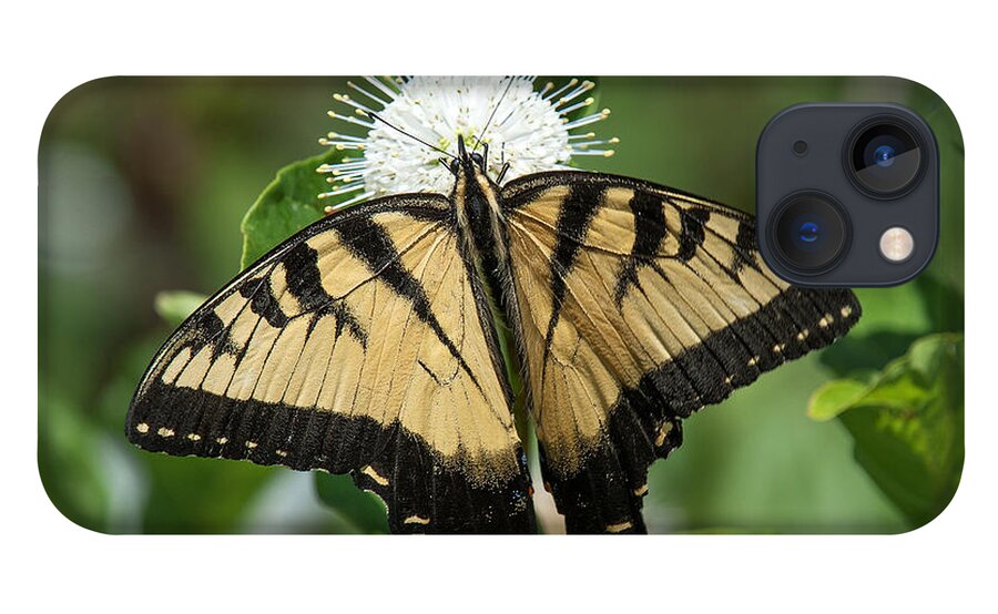 Marsh iPhone 13 Case featuring the photograph Eastern Tiger Swallowtail DIN0254 by Gerry Gantt