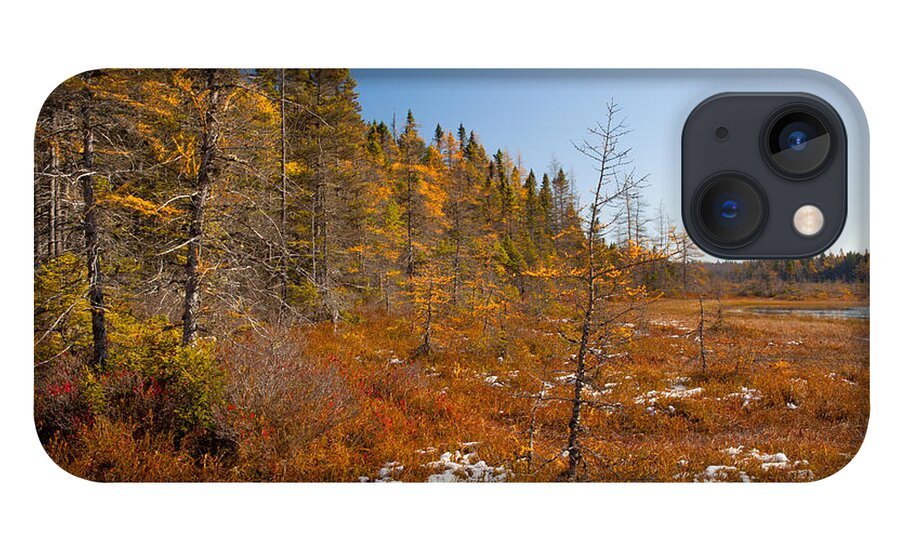 Kelly River Wilderness iPhone 13 Case featuring the photograph Edge Of November by Irwin Barrett
