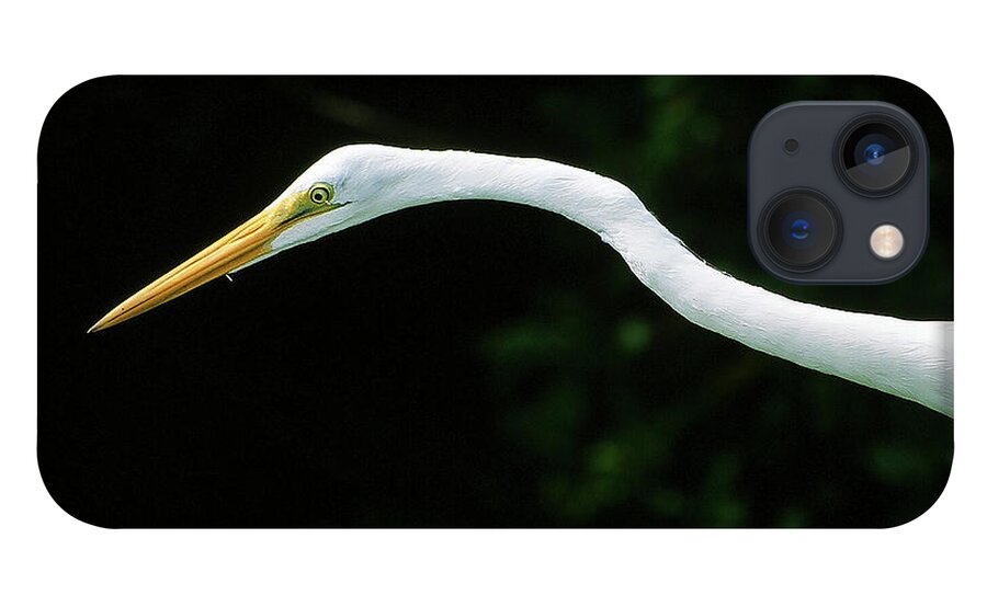 Egret iPhone 13 Case featuring the photograph Egret 1 by Ted Keller