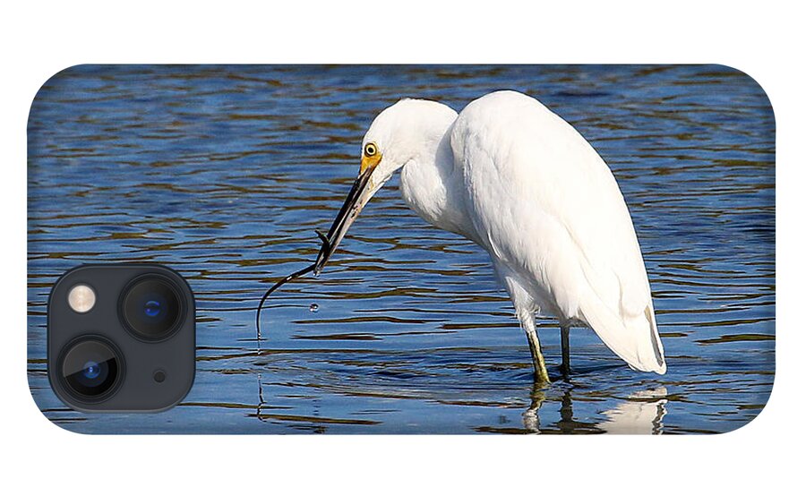Wildlife iPhone 13 Case featuring the photograph Egret Eating Eel 4 by William Selander