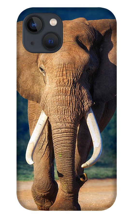 Elephant iPhone 13 Case featuring the photograph Elephant approaching by Johan Swanepoel