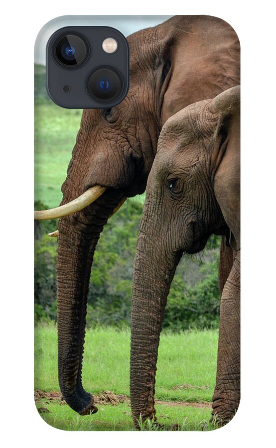 Elephants iPhone 13 Case featuring the photograph Elephant couple profile by Gaelyn Olmsted