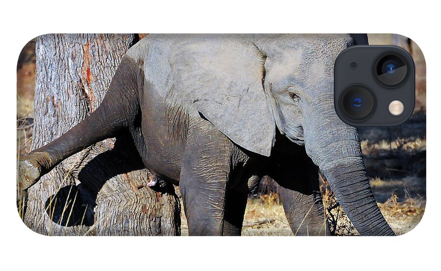 Elephant iPhone 13 Case featuring the photograph Elephant Scratching Rump by Ted Keller