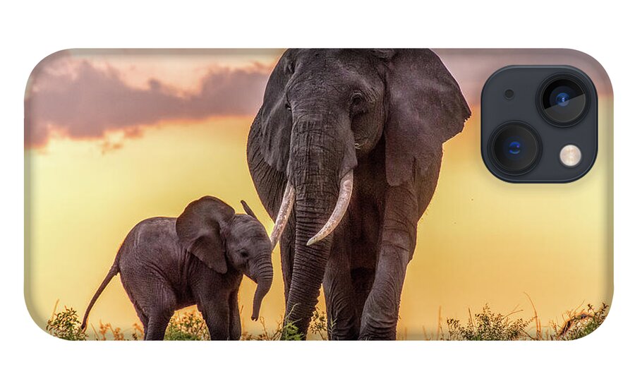 Elephants iPhone 13 Case featuring the photograph Elephants at Sunset by Janis Knight