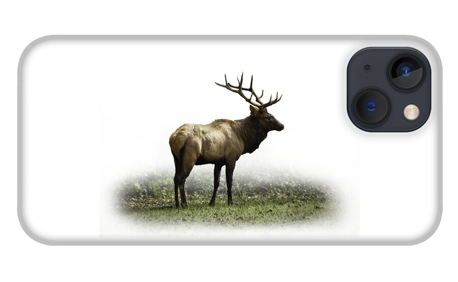 Elk iPhone 13 Case featuring the photograph Elk III by Debra and Dave Vanderlaan