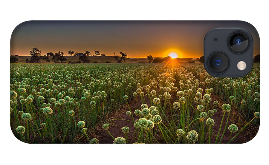 Sunrise iPhone 13 Case featuring the photograph Enlightenment by Tim Bryan