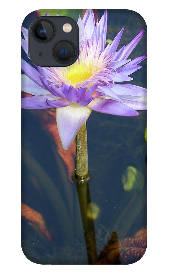 Pond iPhone 13 Case featuring the photograph Essence of the Water Lily by Mary Anne Delgado