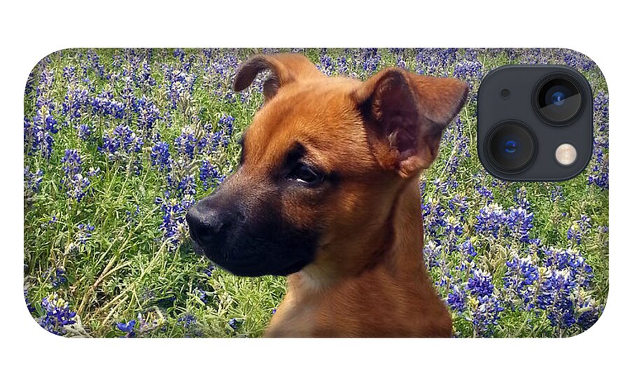 Abstract iPhone 13 Case featuring the painting Expressive Puppy and Bluebonnets Photo A19316 by Mas Art Studio