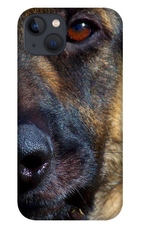 Dog iPhone 13 Case featuring the photograph Eye of the Shepherd by Jai Johnson