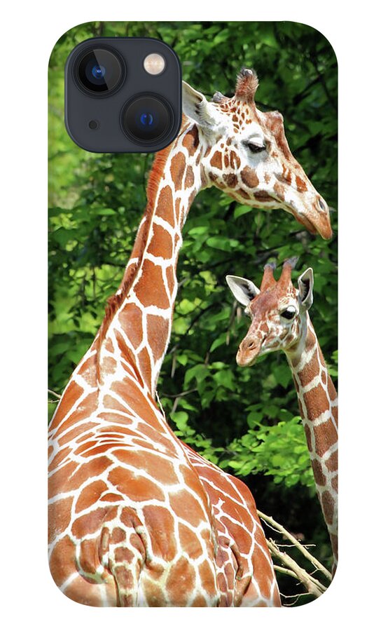 Giraffe iPhone 13 Case featuring the photograph Family by Jackson Pearson