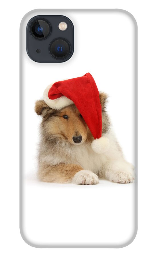 Rough Collie iPhone 13 Case featuring the photograph Feeling Rough this Christmas by Warren Photographic