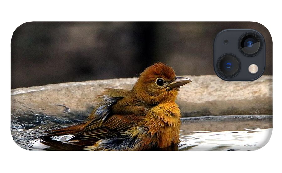 Nature iPhone 13 Case featuring the photograph Female Summer Tanager in Bird Bath by Sheila Brown