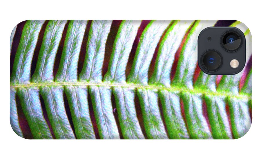 Fern iPhone 13 Case featuring the photograph Fern 1 by Brian O'Kelly