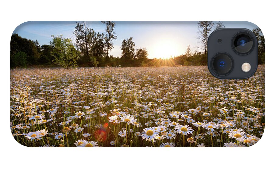 Daisy iPhone 13 Case featuring the photograph Field of Daisies by Andrew Kumler