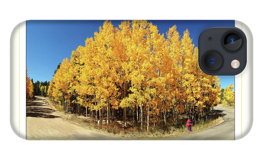 Colorado iPhone 13 Case featuring the photograph Fisheye Aspens by Peggy Dietz