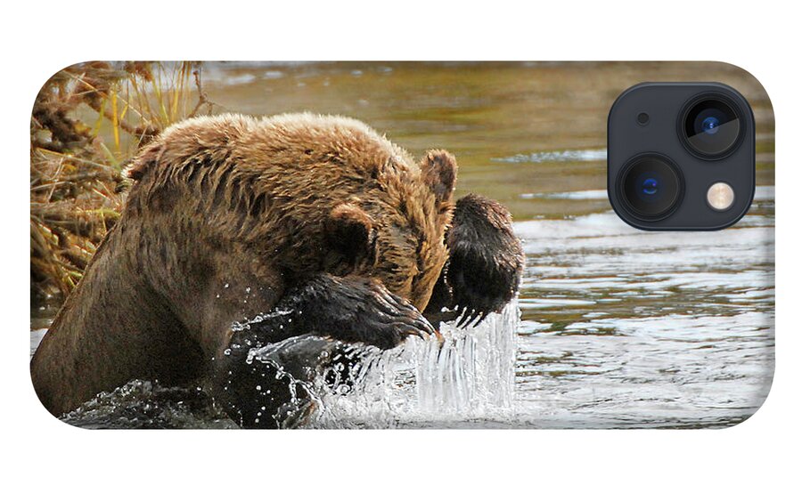 Fishing iPhone 13 Case featuring the photograph Fishing Grizzly Bear by Ted Keller