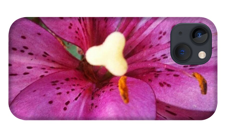 Lily iPhone 13 Case featuring the photograph Flecked by Denise Railey
