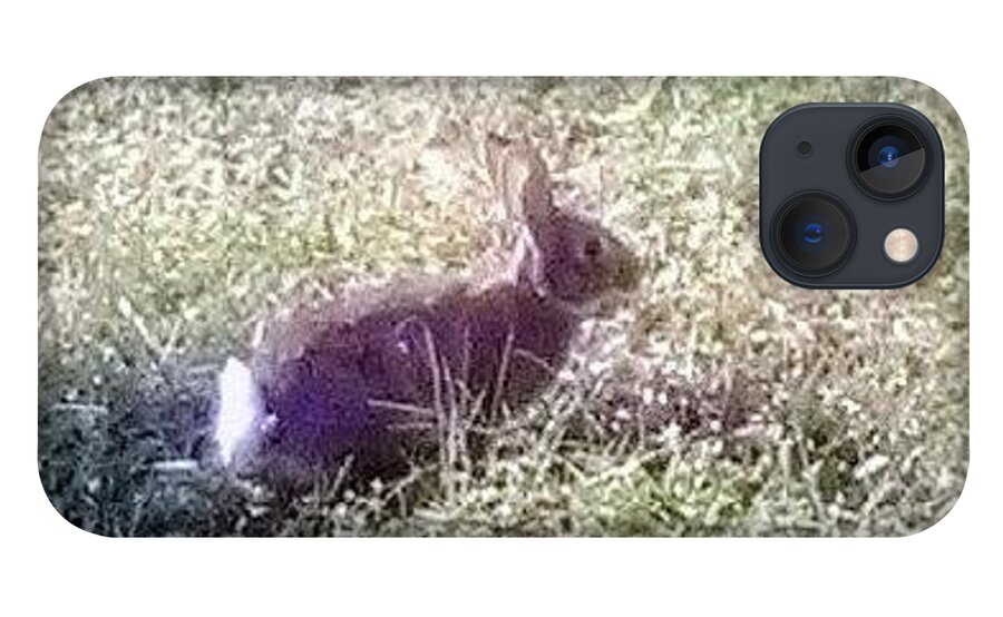 Rabbit. Bunny .wildlife Sanctuary iPhone 13 Case featuring the photograph Floppy Our Local Bunny by Suzanne Berthier