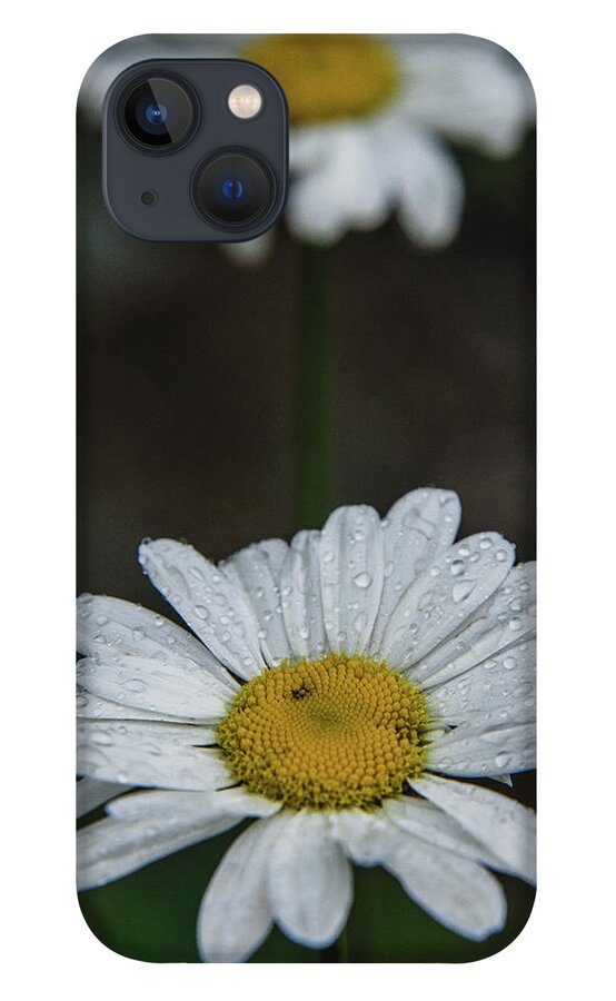 Nature iPhone 13 Case featuring the photograph Flower 2 by Mati Krimerman