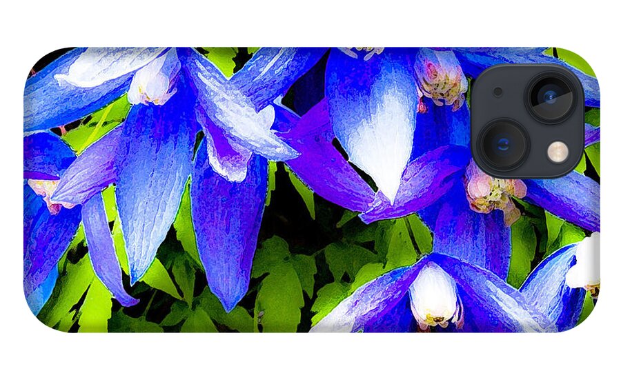 Flying Clematis iPhone 13 Case featuring the photograph Flying Clematis by Neil Pankler