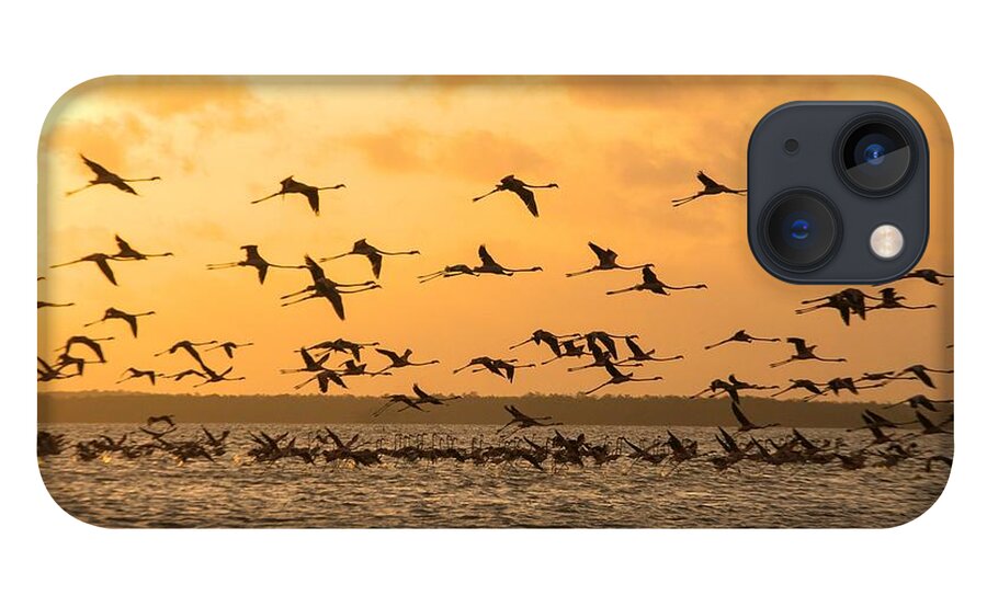 Adult iPhone 13 Case featuring the photograph Flying flamingoes at sunset by Patricia Hofmeester