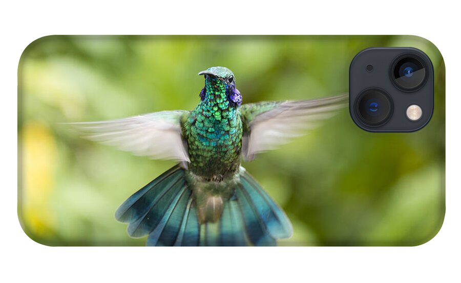 Animals In The Wild iPhone 13 Case featuring the photograph Flying Green violetear hummingbird by Oscar Gutierrez