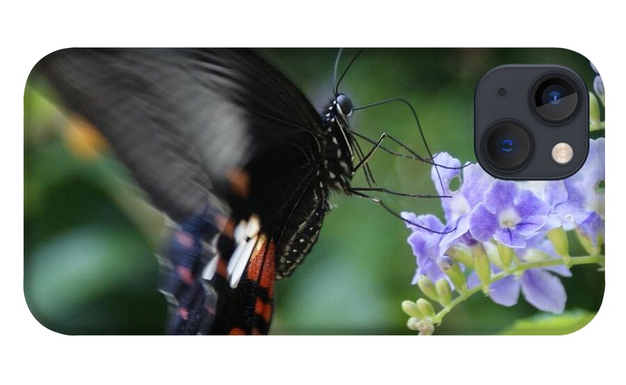 Butterfly iPhone 13 Case featuring the photograph Flying In close up by Shelley Jones
