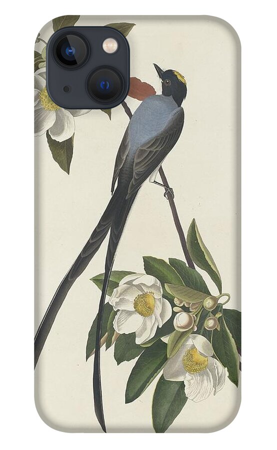 Audubon iPhone 13 Case featuring the drawing Forked-Tail Flycatcher by Dreyer Wildlife Print Collections 