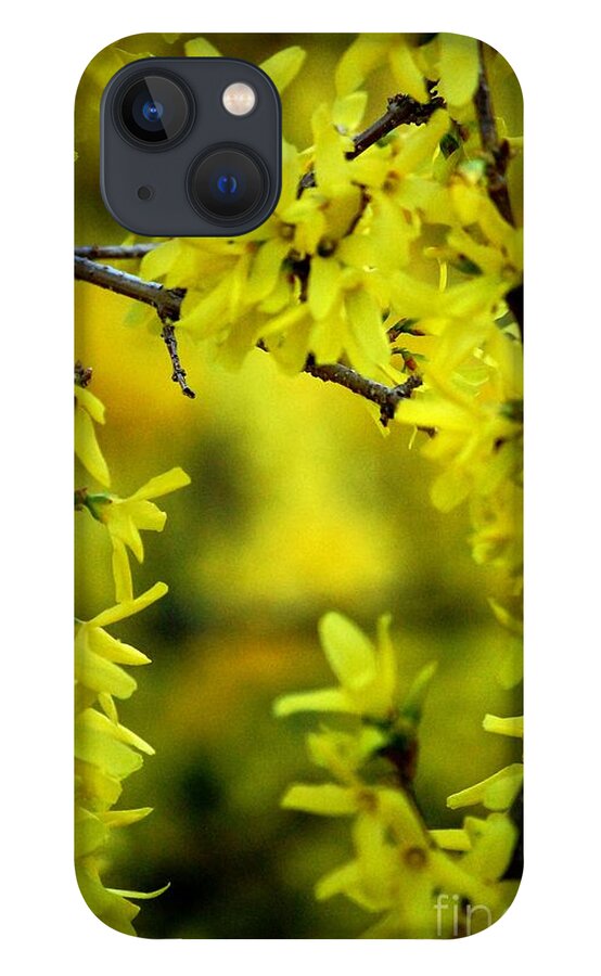 Spring iPhone 13 Case featuring the photograph Forsythia at the Hacienda by David Lane