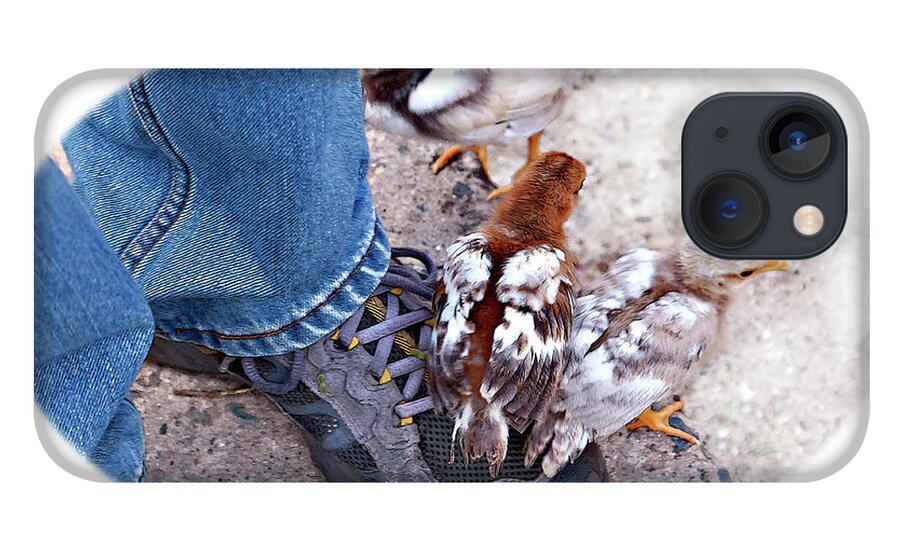 Chicken iPhone 13 Case featuring the photograph Friends by Tatiana Travelways