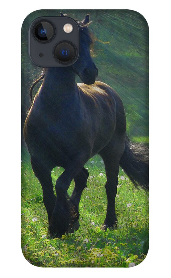 Horses iPhone 13 Case featuring the photograph Friesian Sun by Fran J Scott