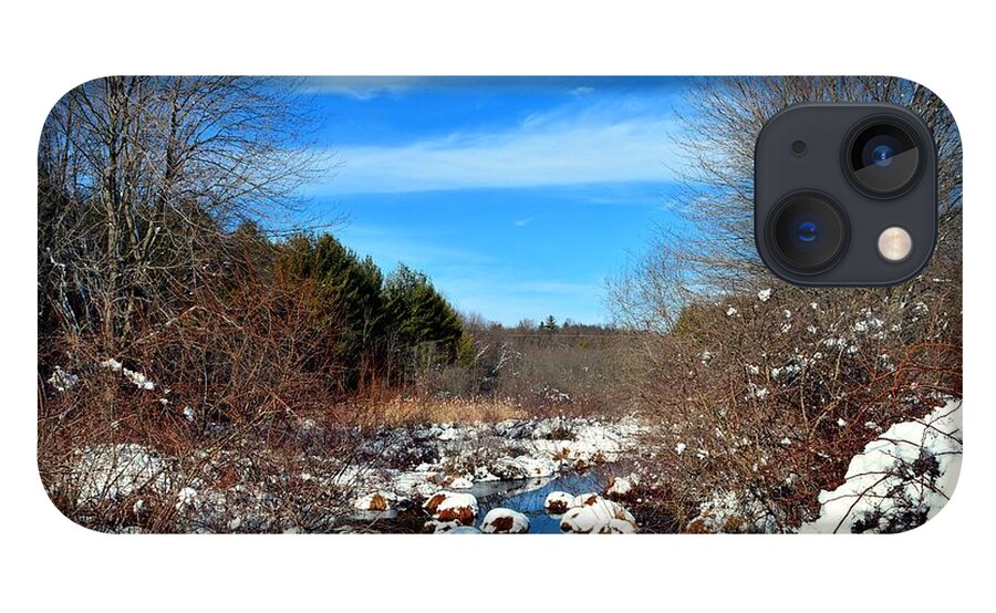 Snow iPhone 13 Case featuring the photograph Frosted River Grass by Dani McEvoy