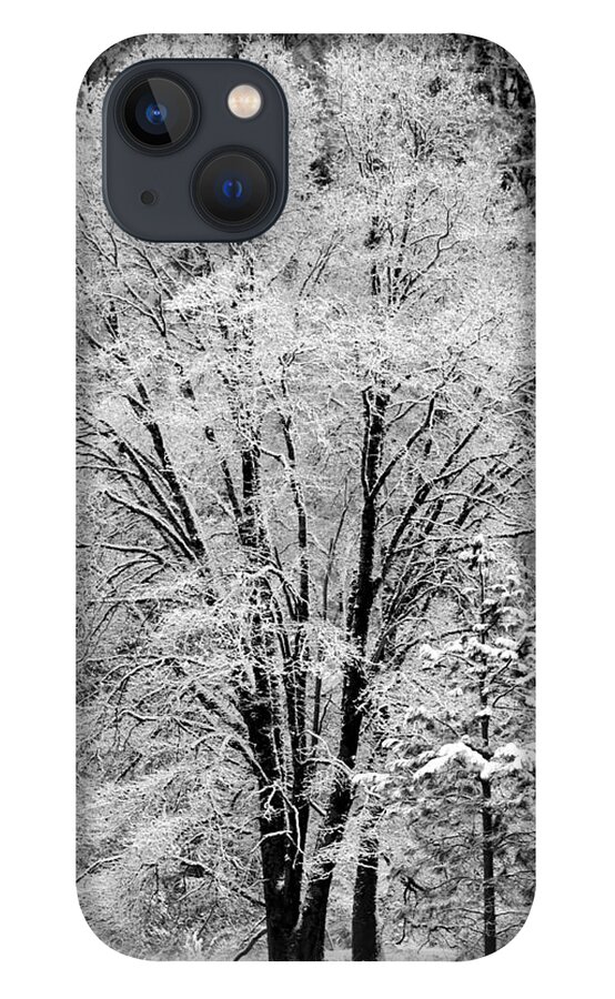Tree iPhone 13 Case featuring the photograph Frosted Tree Yosemite Valley by Lawrence Knutsson